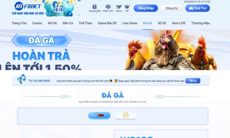 F8BET Đá gà – sự hòa quyện giữa nét truyền thống và hiện đại F8BET Đá gà – sự hòa quyện giữa nét truyền thống và hiện đại