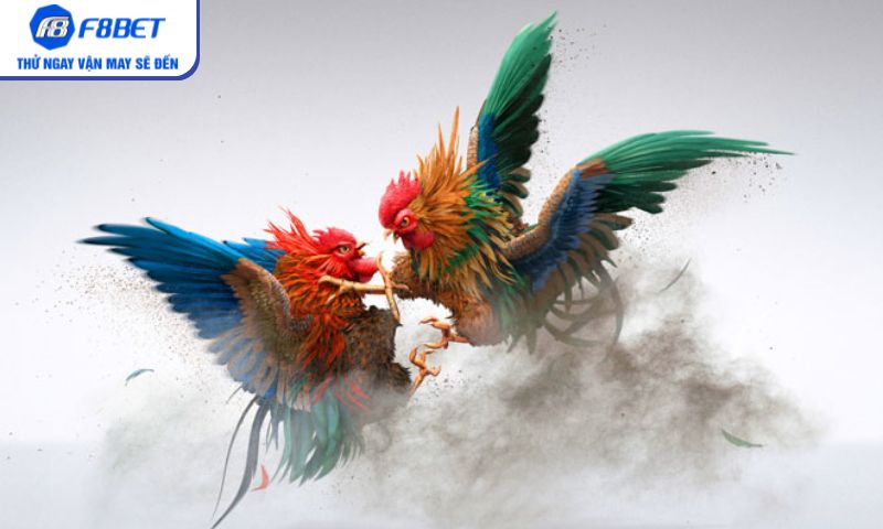 Trải nghiệm đá gà Campuchia dễ dàng cùng F8BET